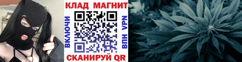 Продажа наркотиков Заволжск Канабис  Галлюциногенные грибы  COCAIN  ГАШ  Меф мяу мяу  АМФЕТАМИН 
