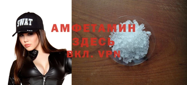 спиды Вяземский