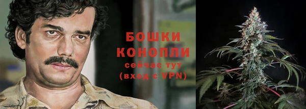 спиды Вяземский