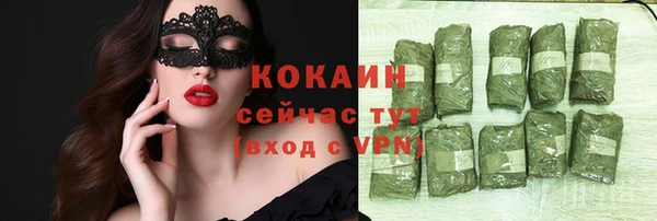 спиды Вяземский