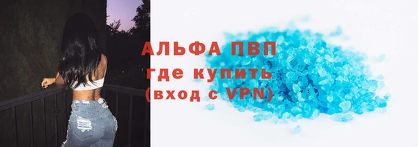 спиды Вяземский