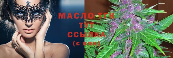 спиды Вяземский