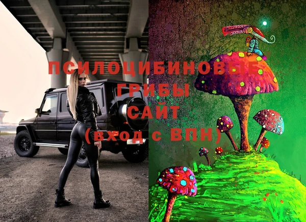 соль ск Горняк