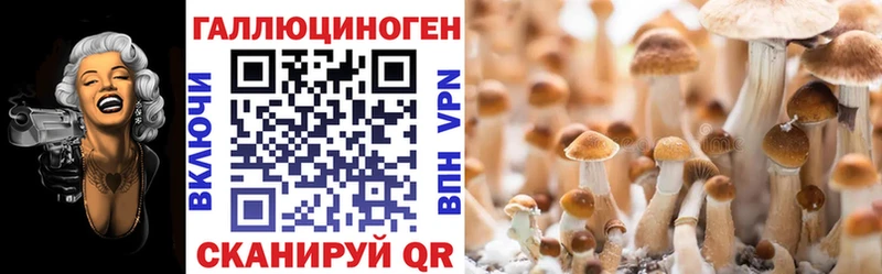Галлюциногенные грибы мухоморы  закладка  Заволжск 
